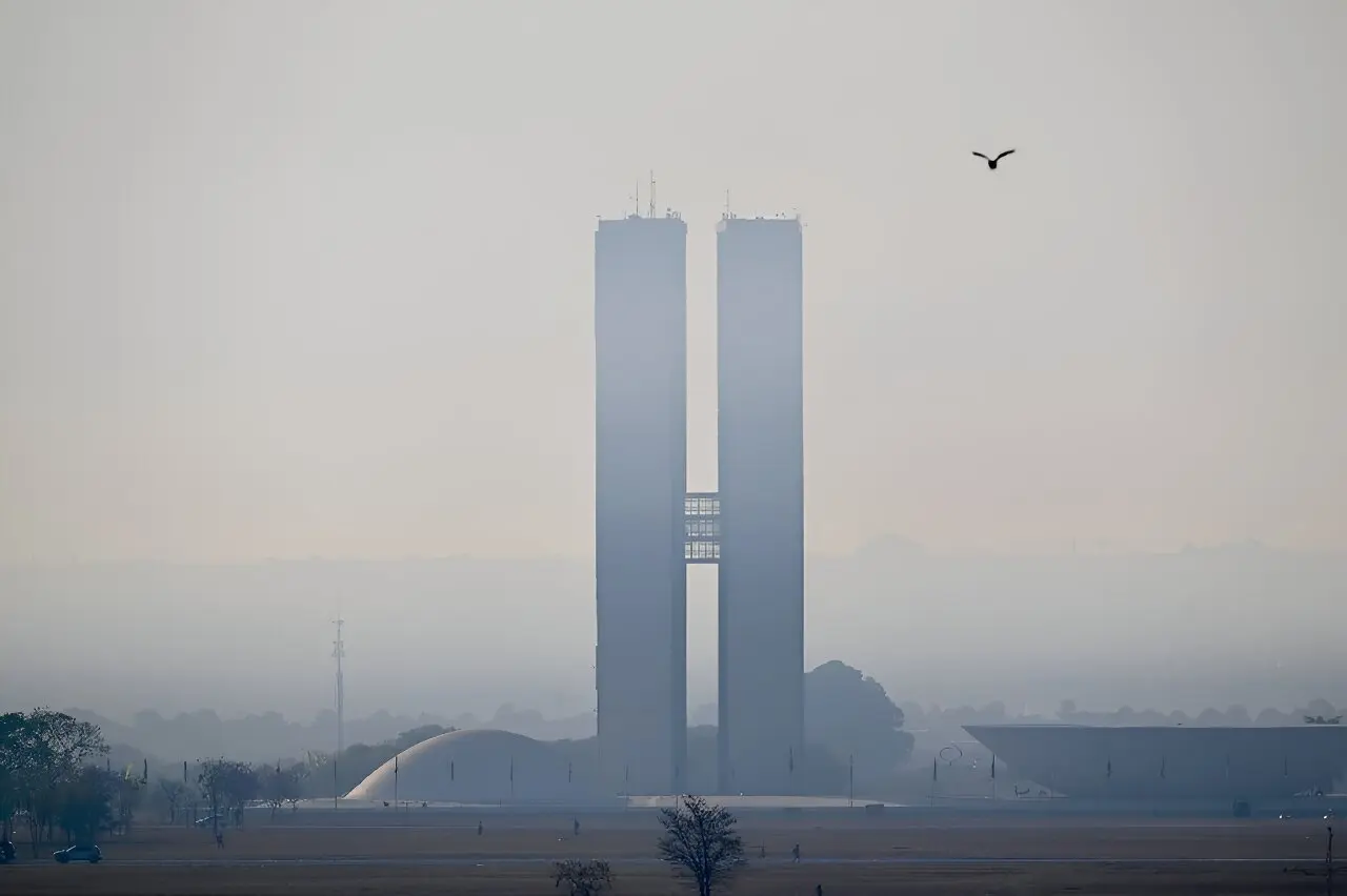 Brazilians choke as fire smoke blankets 80% of country