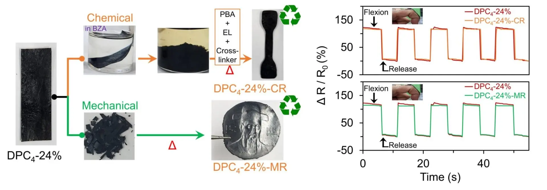 Researchers create dynamic polymer network material for recyclable high-sensitivity sensors