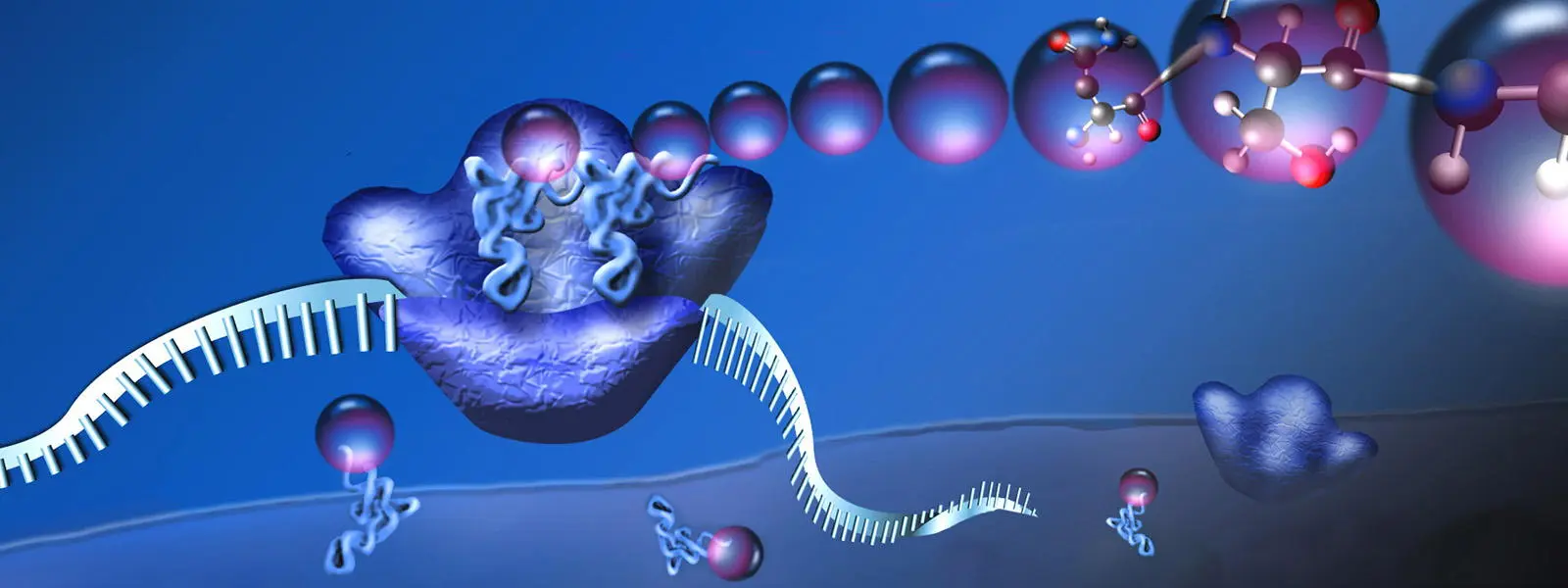 When ribosomes go rogue - Ars Technica